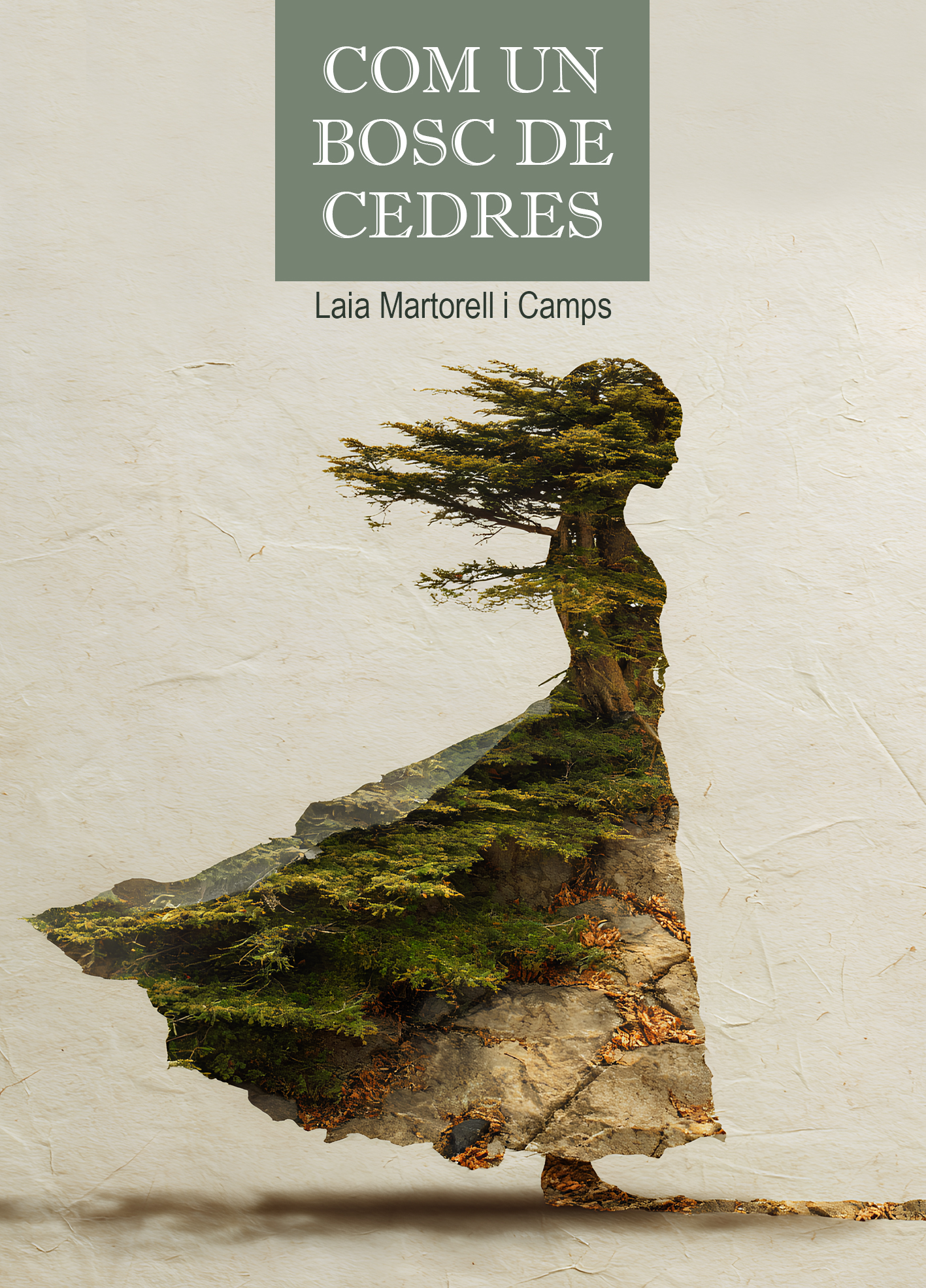 Com un bosc de cedres